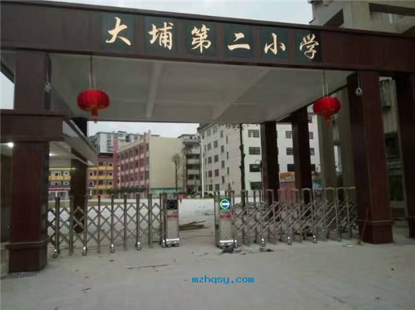 大埔第二小學